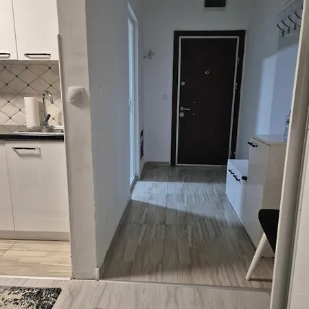 Pasha *